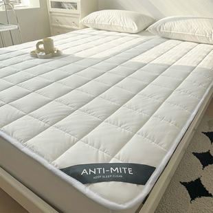 全棉A类抗菌防螨床垫1米35m软垫双面加绒保暖家用床褥纯棉秋冬款