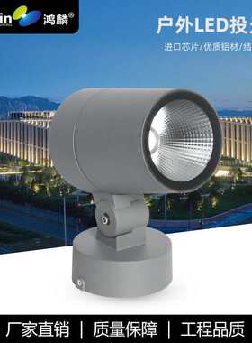 户外COB投光灯大功率照明灯庭院LED圆形泛光灯10W20W柱子园林景观