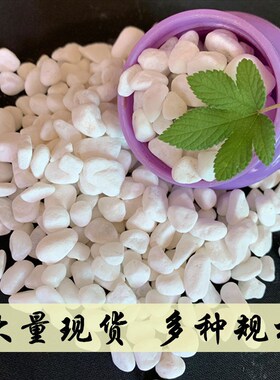白色鹅卵石园林造景白石子庭院铺路雨花石白色水洗石水磨石白石子