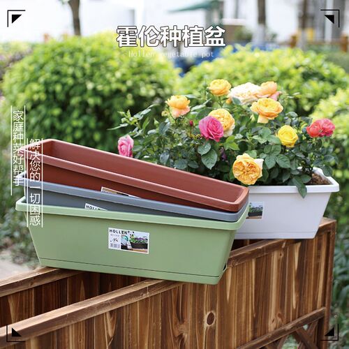 阳台种菜花盆家用长方形塑料盆栽种植箱草莓专用蔬菜霍伦盆花铁架