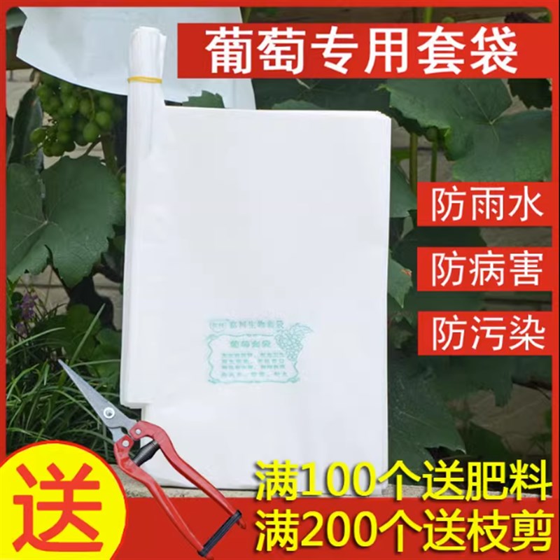 园艺白色全木浆葡萄套袋葡萄袋葡萄果袋防水防虫鸟带铁丝气孔育果