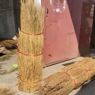 铁扫把苗竹扫把苗大扫把笤帚毛子苗子环卫清洁扫院子竹枝金丝草