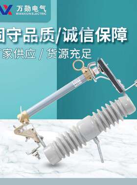 上海万勋RW12-15/100-200A 10kv户外高压跌落式熔断器令克保险