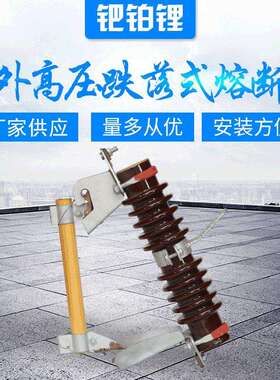 厂家供应 户外高压跌落式熔断器RW7-10-100A陶瓷材质支柱绝缘子