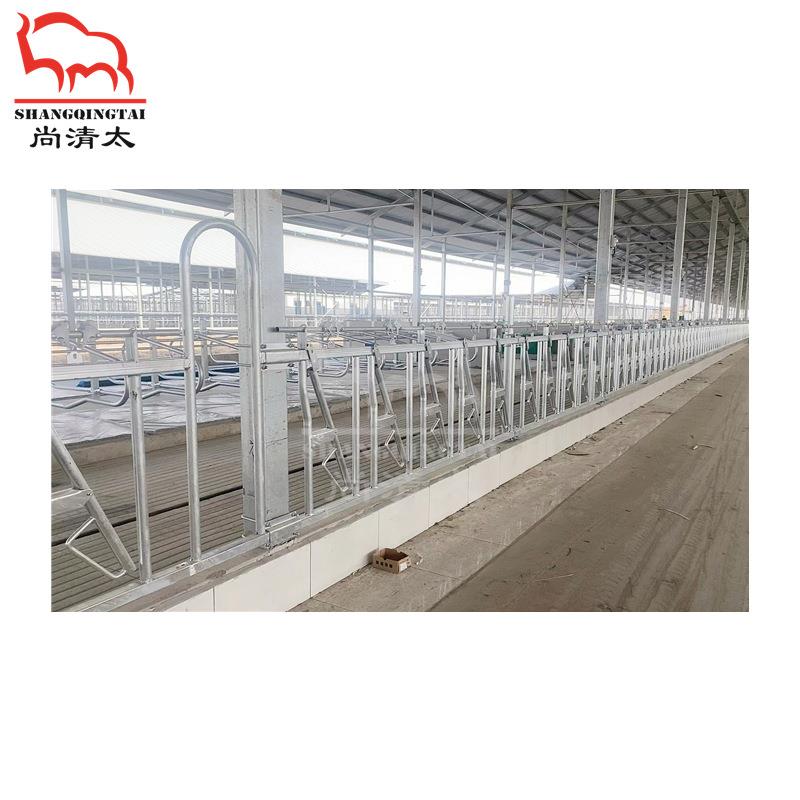 牛颈枷牛场定位栏限位栏镀锌管栏位牛用栏位