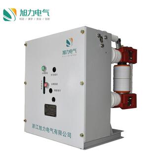 厂家供货ZN28-12真空断路器 一体式/连体式 630A 1250A 2000A电流