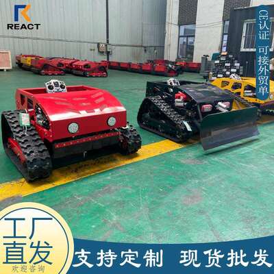 出口法国遥控智能割草机 汽油草坪机Robotic Lawnmower果园剪草机