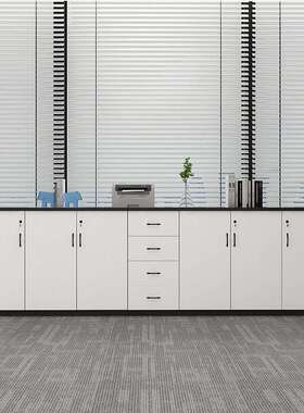 A10L办公室文件柜矮柜储物柜子木质带锁资料柜档案柜收纳柜子白色