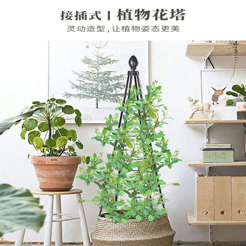 铁线莲爬藤三角架造型铁线莲球兰支撑固定黄瓜架园艺架爬藤架豆角