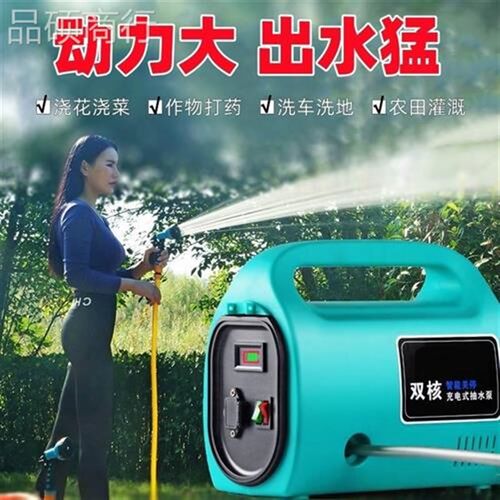 便携式小型浇菜神器家用浇水机洗车农用灌溉浇花充电式锂电抽水泵