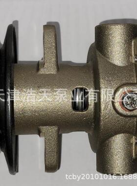 橡胶叶轮泵GM46936 GM104855 334371 G910P海水清水污水叶轮泵