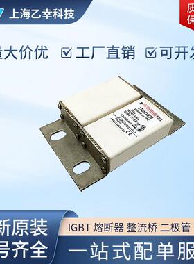 巴斯曼熔断器 170M1827 170M1828 170M1829 170M1830 170M1831