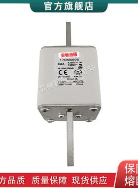 170M5658 5659 5660 5661 5662 巴斯曼bussmann快速熔断器保险丝