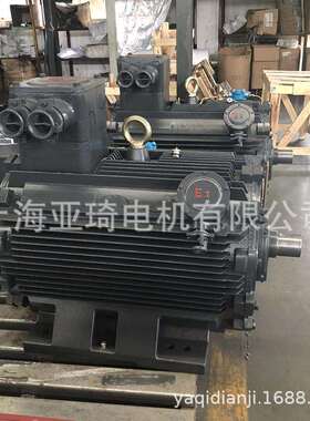 防爆电机 EX II CT6优质防爆电机 防爆马达