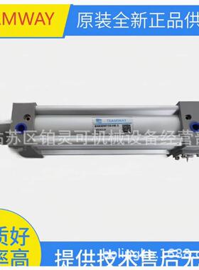 TEAMWAY气压缸TA32N125-A-S DNB50M55-CG-LN02A-2 DNB40M680SH