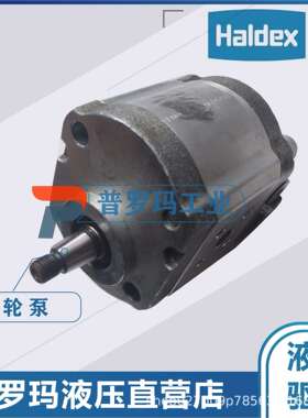 瑞典HALDEX 齿轮泵 WP09A1B190R03BA121N/180202国产代替现货供应