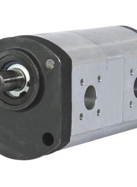 奥森德齿轮泵Blue Ascend AP20.160/160.AEA701SN-T 进口双联泵