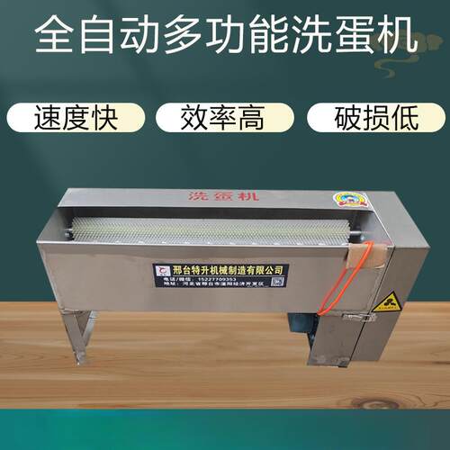 全自动小型商用洗蛋机尼龙毛刷辊麻酱鸡蛋泥蛋腌咸鸭蛋品清洗机器