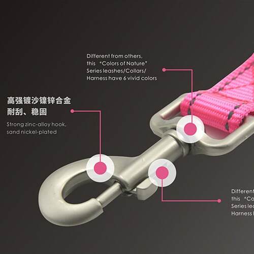 Zooland域揽自由伸展减震弹力绳狗牵引带大中小型犬遛狗绳宠物狗