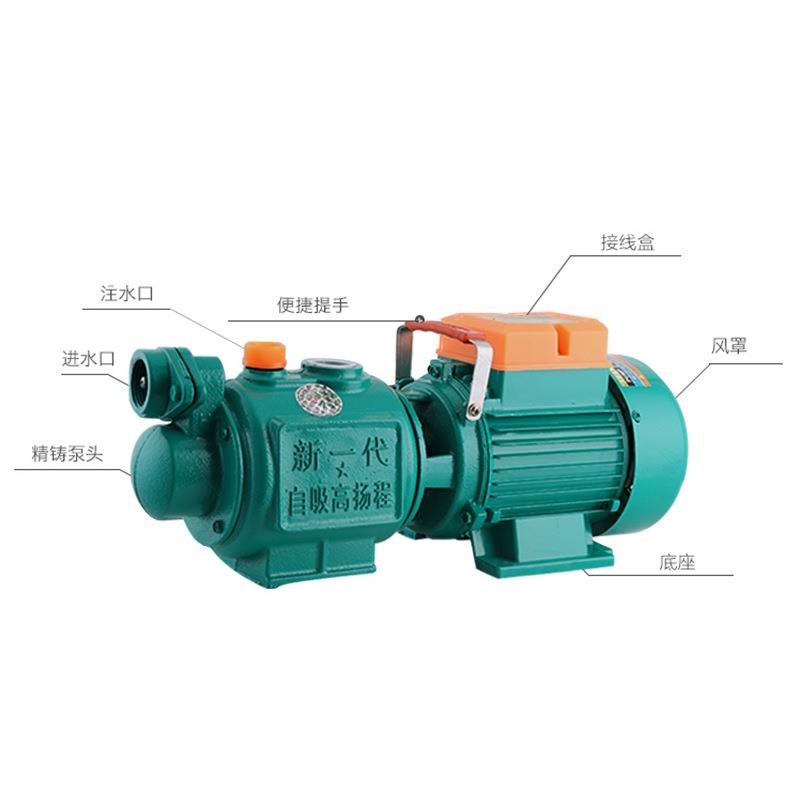 家用220V高压吸程自吸水泵/ZGD-1.5单项电动螺杆自吸泵高扬程铸铁图片