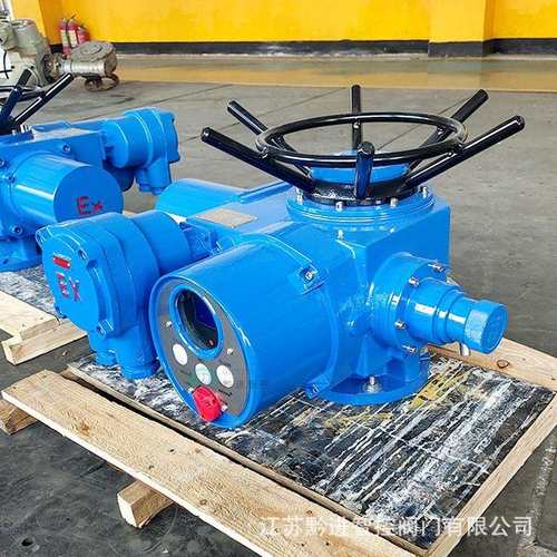 手电两用DZW10开关执行器 防爆BT4防水IP68抗震8级ZB10-24r