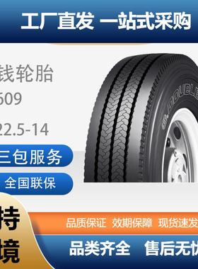 双钱DOUBLECOIN轮胎8R22.5-14RT609全钢丝子午线卡客车通用轮胎