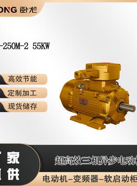 WE3-250M-2 55KW低速同步电动机高速同步电动机高压同步电机