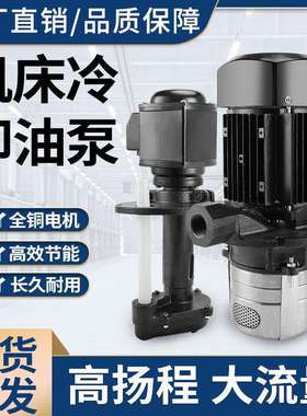 DBAB机床泵磨床油泵冷却泵循环电泵单相220V三相液下矮脚40W90W