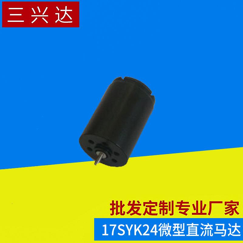 厂家供应 微型直流马达 17SYK24直流空心杯电机 微小型直流电机