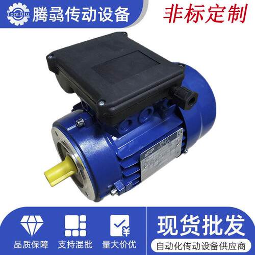 意大利布鲁尼BRUNI相电容电机厂家直销0.09KW~~4KW