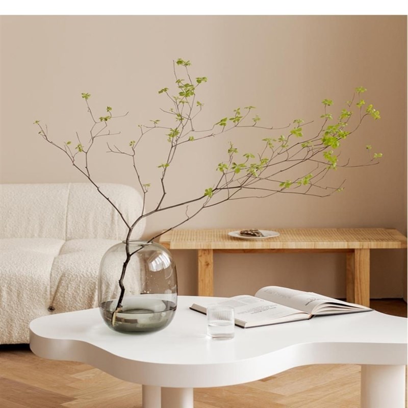 特惠花瓶摆件客厅插花玻璃马醉A木高级感大肚透明吊钟南天竹轻奢