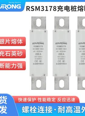 RSM3178熔断器DC1000V充电桩熔断器RS309 规格齐100A 200A 量大
