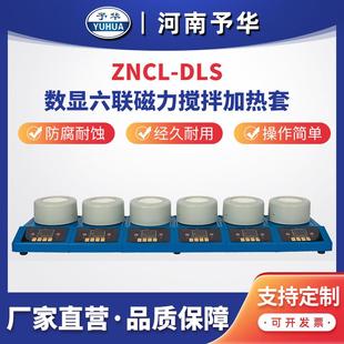 河南予华仪器 ZNCL 智能数显多联磁力搅拌电热套 六联 厂家 DLS