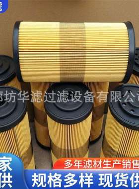 FBO60333船舶燃油滤芯液压先导过滤器用于油水分离纸质滤网