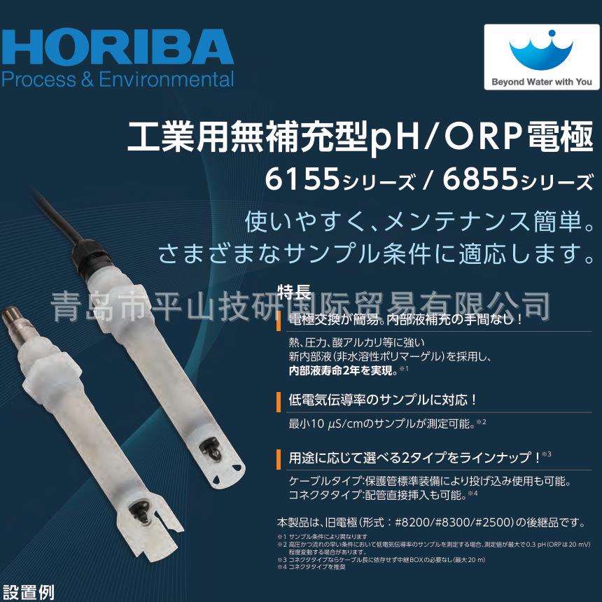 HORIBA堀场PH电极6155-50B工业用电极6115-60