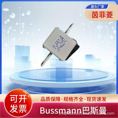 熔断器170M6744 170M6745 170M6746 170M6747 170M6748 170M6749