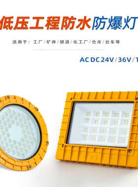?防爆灯 36Vled灯 低压泛光灯12V24V127V矿用灯户外防水投光灯