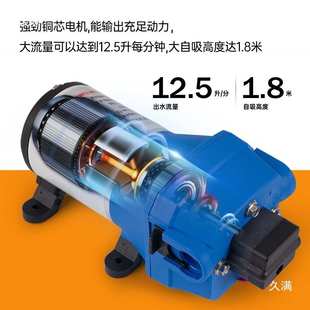 F41游艇冲洗泵房车水泵隔膜泵12V自吸船用增压泵直流高压供水泵