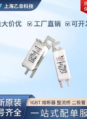 巴斯曼熔断器 170M1535 170M1558 170M1559 170M1560 170M1561