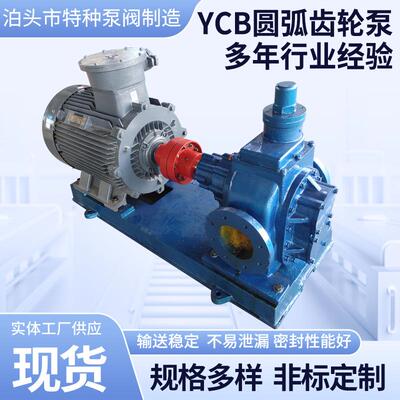 YCB圆弧齿轮油泵ycb齿轮泵耐高温油泵铸铁耐磨电动抽油泵现货