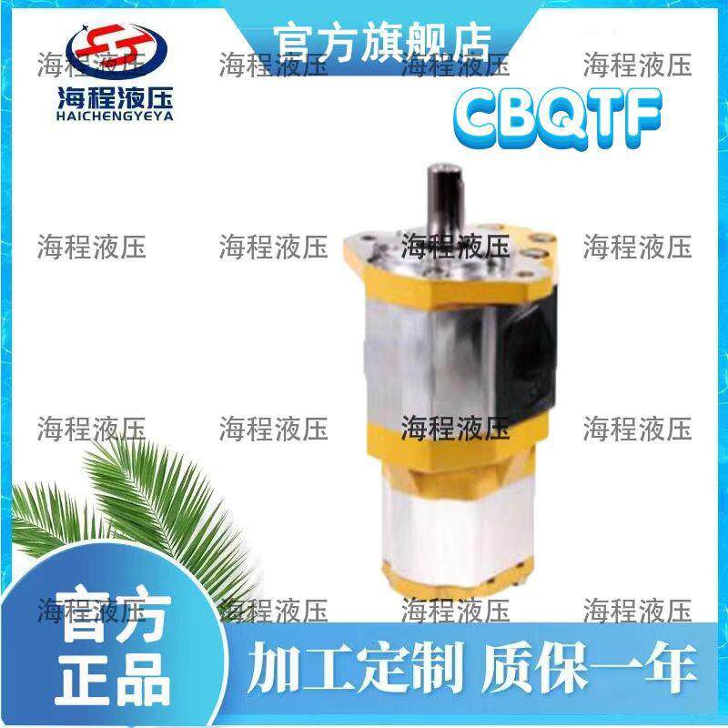 CBQTF系列齿轮油泵双联泵C齿轮泵
