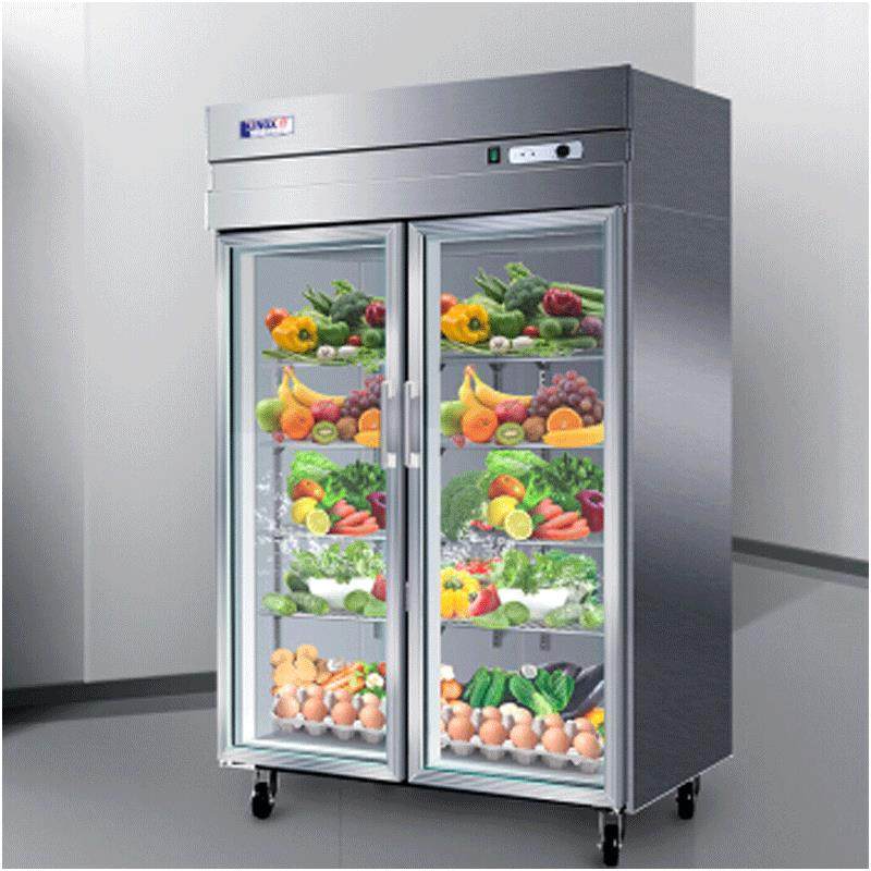 星星（XINGX） 商用双门厨房冰箱 全冷藏立式冰柜 玻璃门展示柜