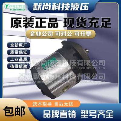 罗茨RONZIO齿轮泵03ZAG20/25/30/35/40/45/50/55/60/64C液压油泵