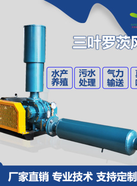 5.5kw100型号DN80大型三叶罗茨风机氧化池增曝气污水处理用鼓风机