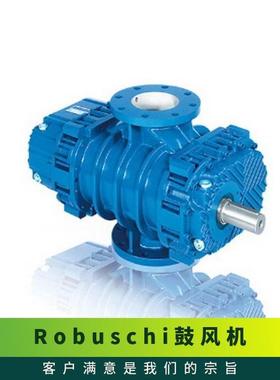 鲁布斯奇Robuschi鼓风机 罗茨ES 126 380V 三叶 顺流 铸铁 1450rp