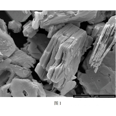 5-20μm 碳化钽(Ta4C3Tx)MXene 多层纳米片   1g