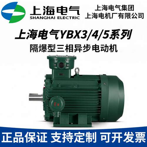 YBX3/4/5-315L2-4200WExdbIICT4Gb防爆三相异步电机