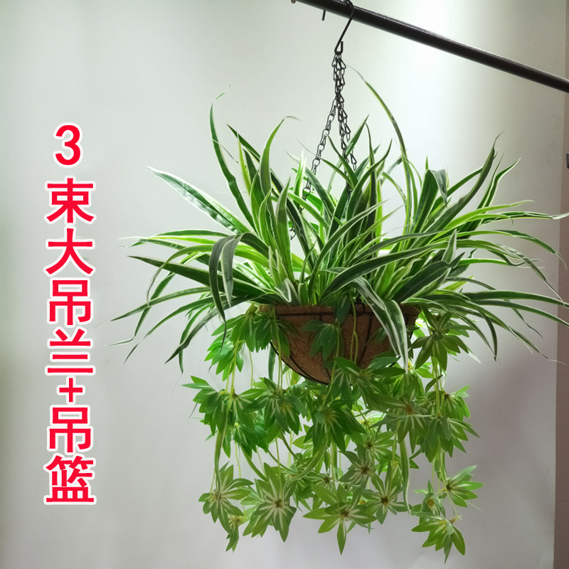仿真绿植吊兰假花绿萝垂吊植物阳台客F厅装饰仿真植物盆栽吊篮套