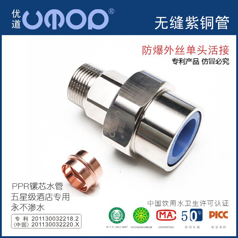 ppr外丝活接外牙水管管u材热熔紫铜管接头塑料家用自来水配件