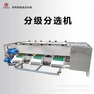 不锈钢滚杠式分级分选机果蔬分级设备圣女果分选机大小分级分选机